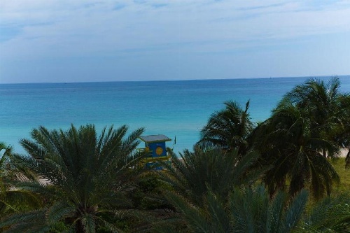 Ocean Surf Hotel image 3